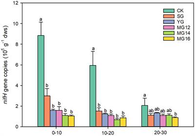 Symbiotic diazotrophs in response to yak grazing and Tibetan sheep grazing in Qinghai-Tibetan plateau grassland soils